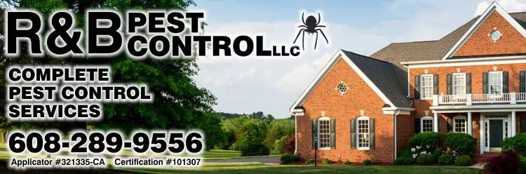 R&B Pest Control - Janesville | Exterminator Beloit | Ants Wasp Rodent